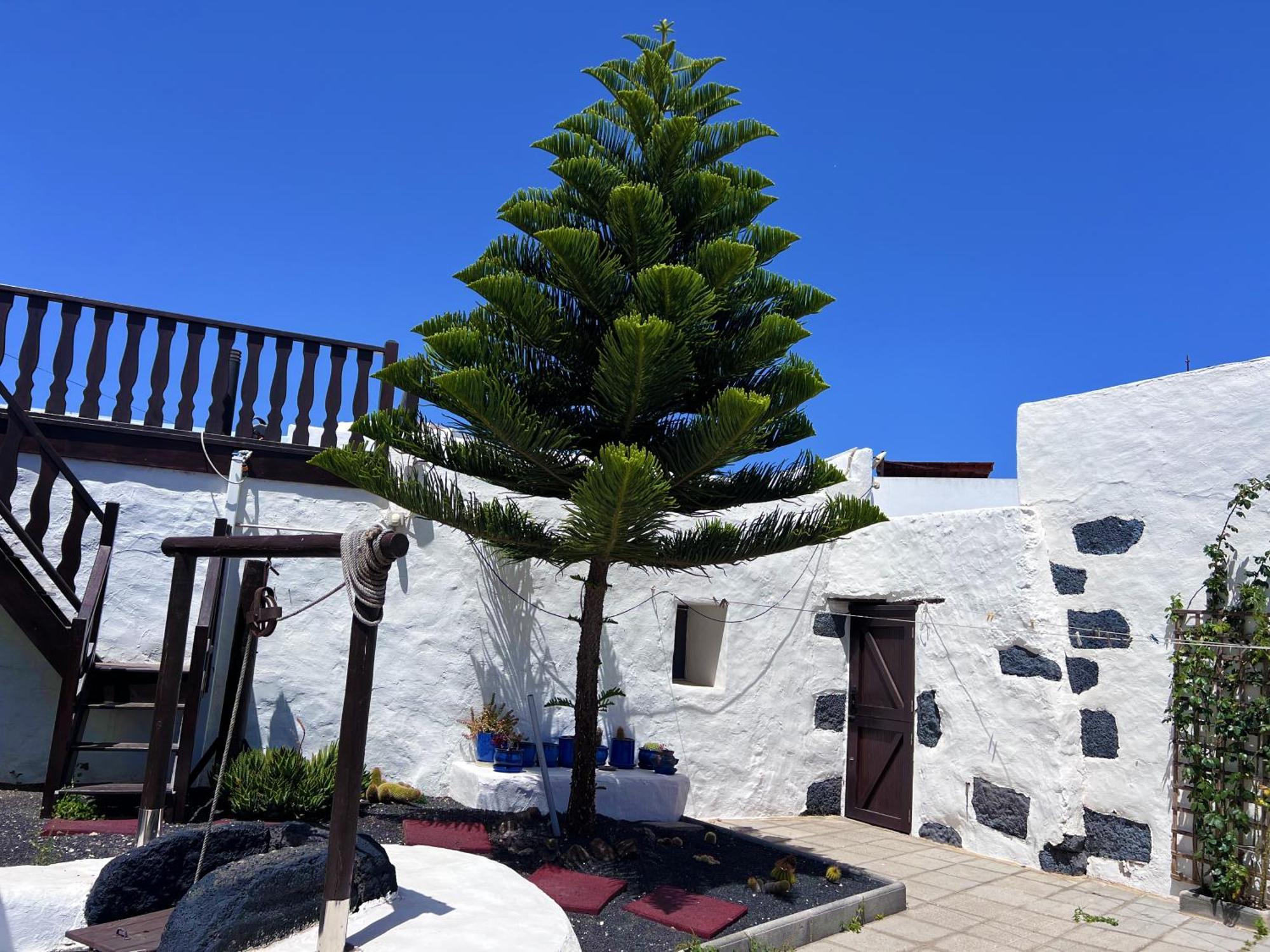 Casa Rural Estilo Canario Villa San Bartolomé Екстериор снимка